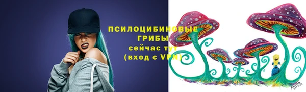 гашик Арсеньев